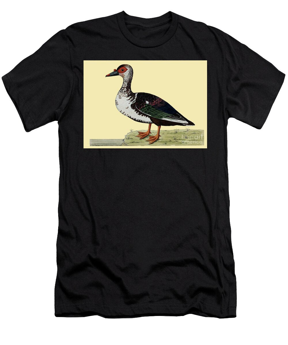 Black Bellied Whistling Duck Vintage Bird Illustration Au1 Eleazar Albin T-Shirt