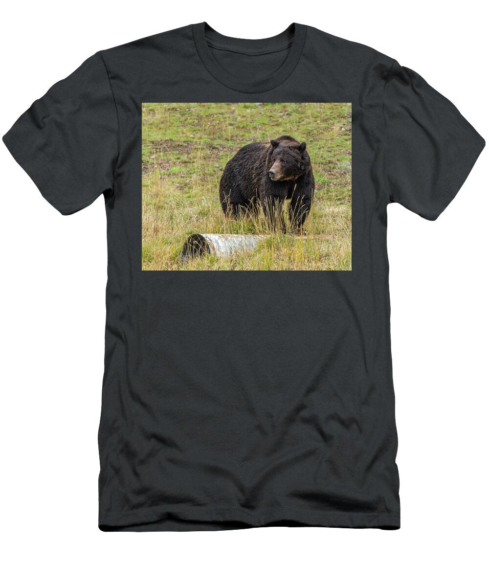 Black Boar Bruin in Yellowstone Yeates Photography T-Shirt