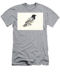 Black Headed Cuckooshrike Coracina Melanoptera Y1 Historic Illustrations T-Shirt
