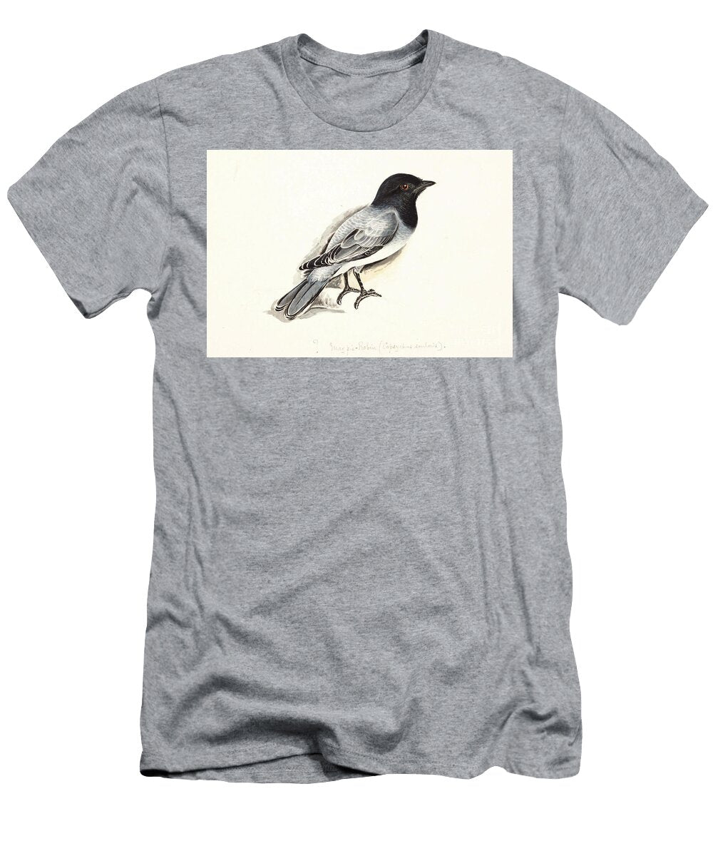 Black Headed Cuckooshrike Coracina Melanoptera Y1 Historic Illustrations T-Shirt