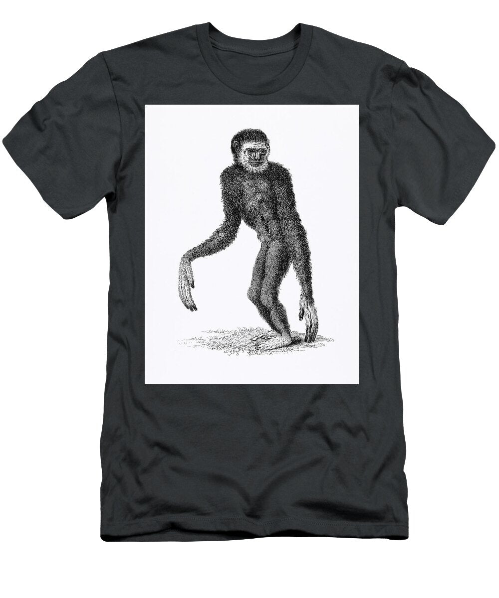 Black Long Armed Gibbon and White Long Armed Gibbon From Zoological Lectures Delivered At the Royal Les Classics T-Shirt