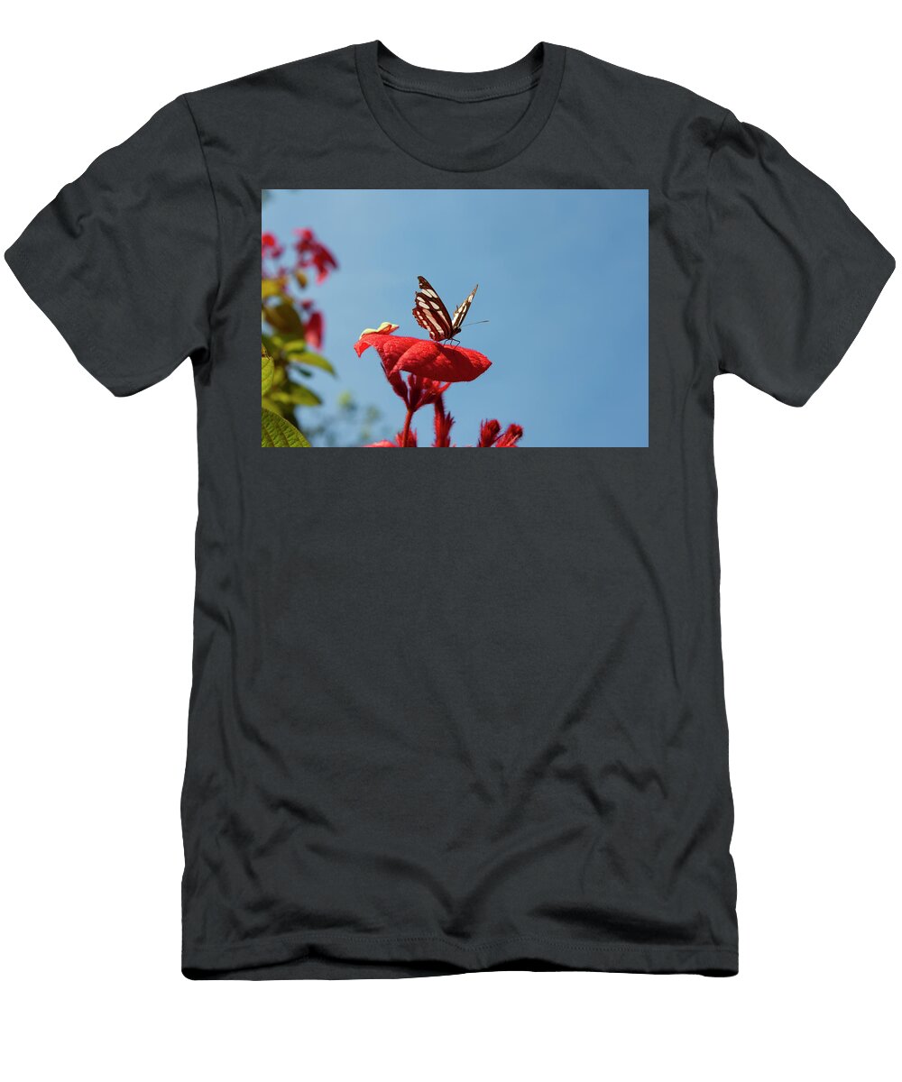 Blackvein Sergeant Butterfly 2 Ameya M T-Shirt