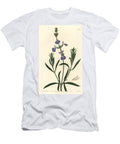 Blue Sage Grassland Sage Salvia Azurea Narrow Leaved Sage Salvia Angustifolia Sydenham Teast Edwards T-Shirt