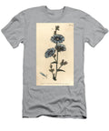 Blue Succory or Common Chicory Cichorium Intybus Polygamia Aequalis Sydenham Teast Edwards T-Shirt