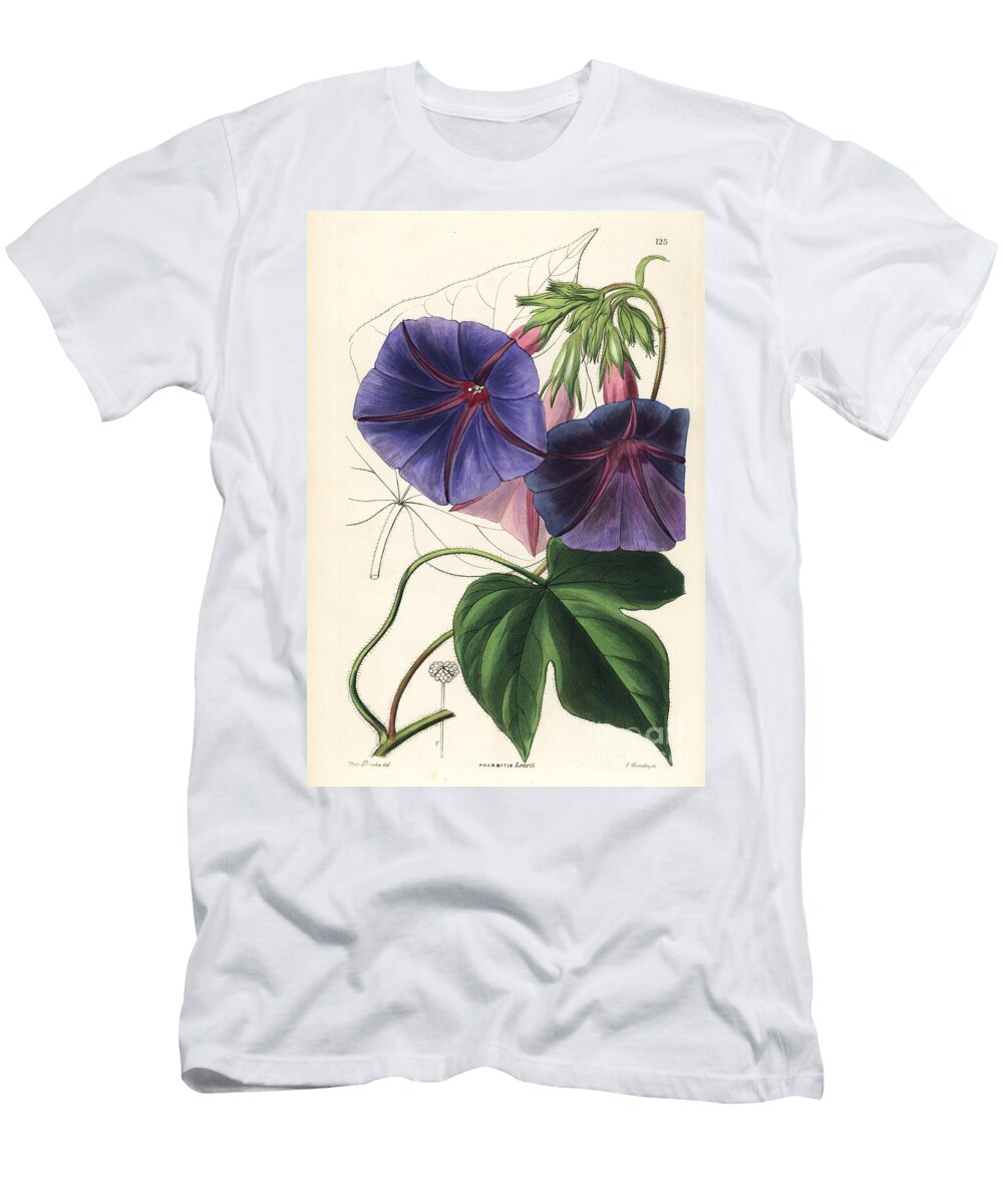 Blue Volubilis Indian Ipomee Blue Morning Glory Ipomoea Indica Wills Gaybine Pharbitis Learii European School T-Shirt