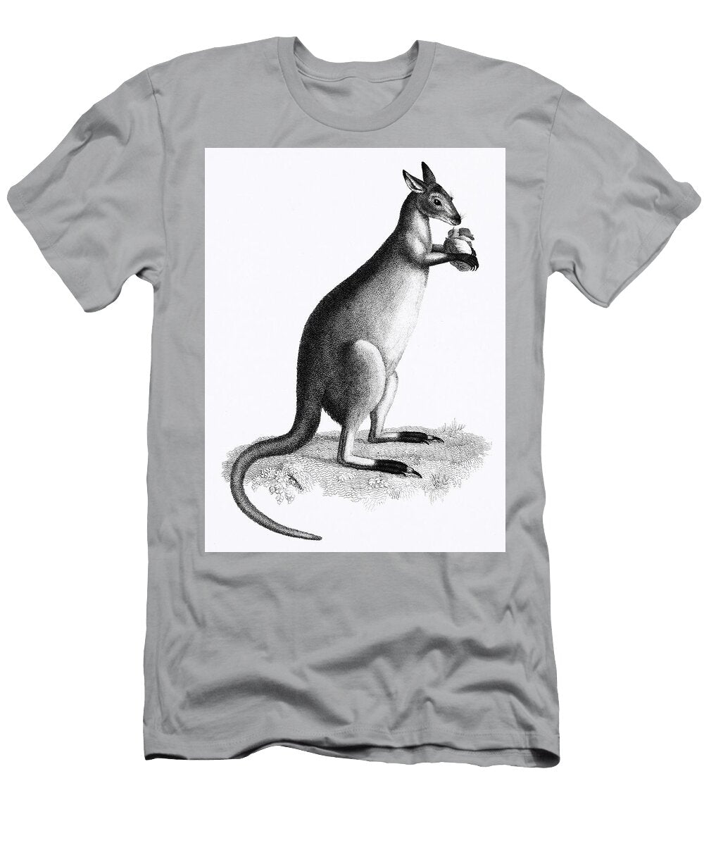 Blueish Grey Kanguroo or Silver Kanguroo From Zoological Lectures Delivered At the Royal Institution Les Classics T-Shirt