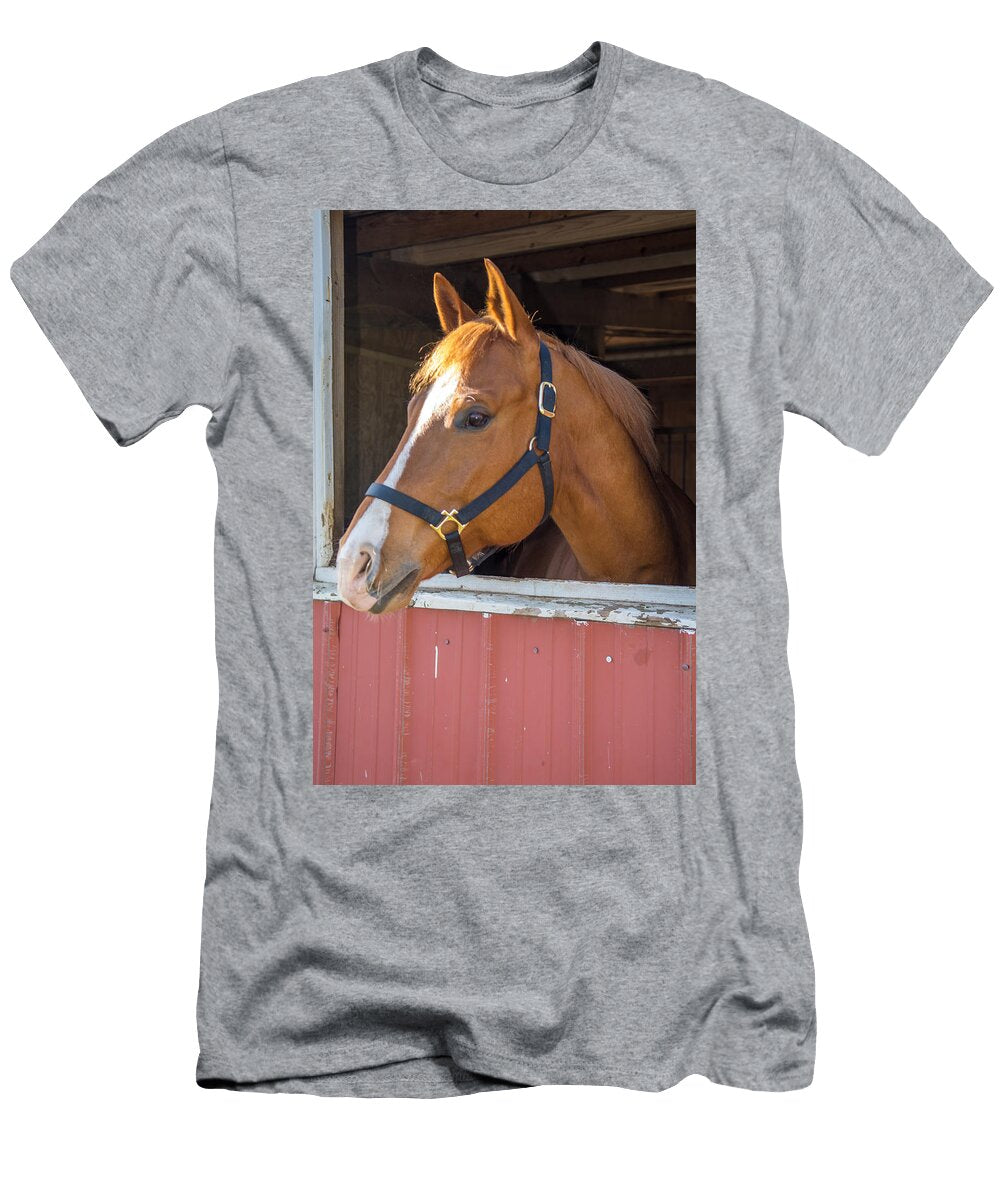 Bode 15068 Guy Whiteley T-Shirt