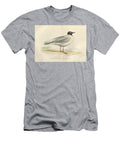 Bonapartian Gull Larus Bonapartii O1 Historic Illustrations T-Shirt