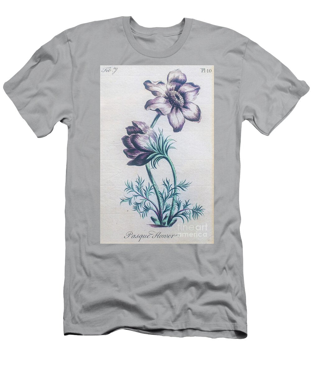 Botanical Engraving Pulsatilla Vulgaris M1 Humorous Quotes T-Shirt