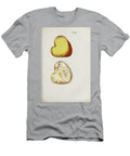 Botanical Illustration By Jacquin 1778 M1 Historic Illustrations T-Shirt