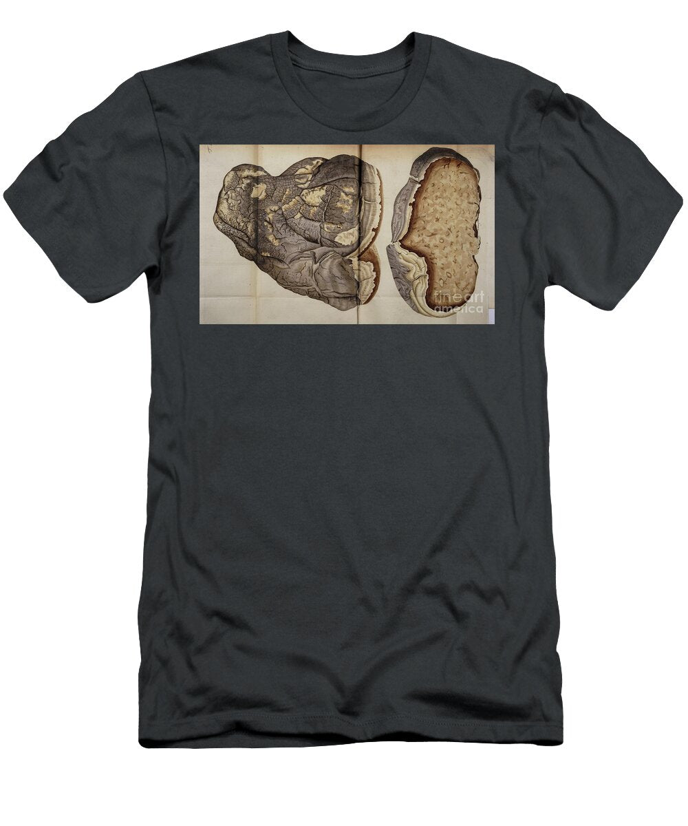 Botanical Illustration By Jacquin 1778 M3 H T-Shirt