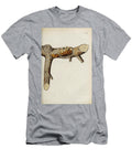 Botanical Illustration By Jacquin 1778 N3 Historic Illustrations T-Shirt