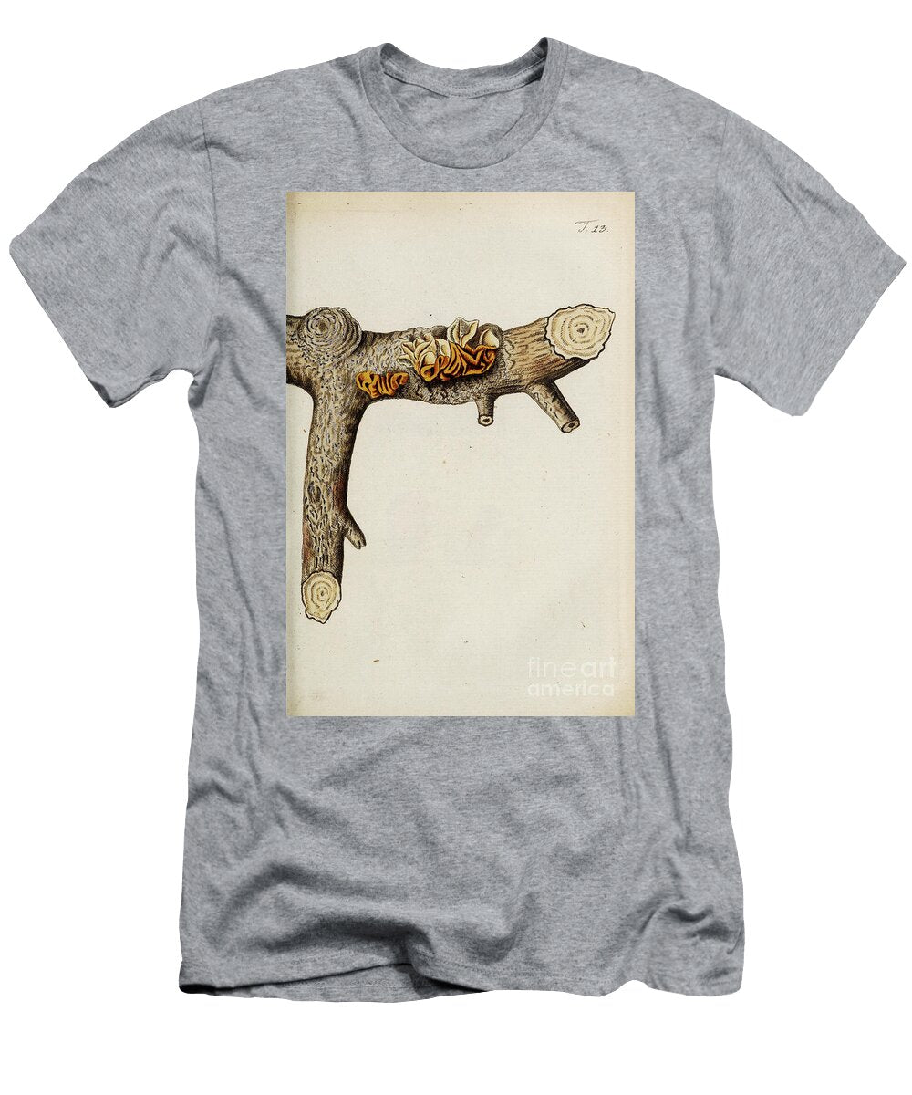Botanical Illustration By Jacquin 1778 N3 Historic Illustrations T-Shirt