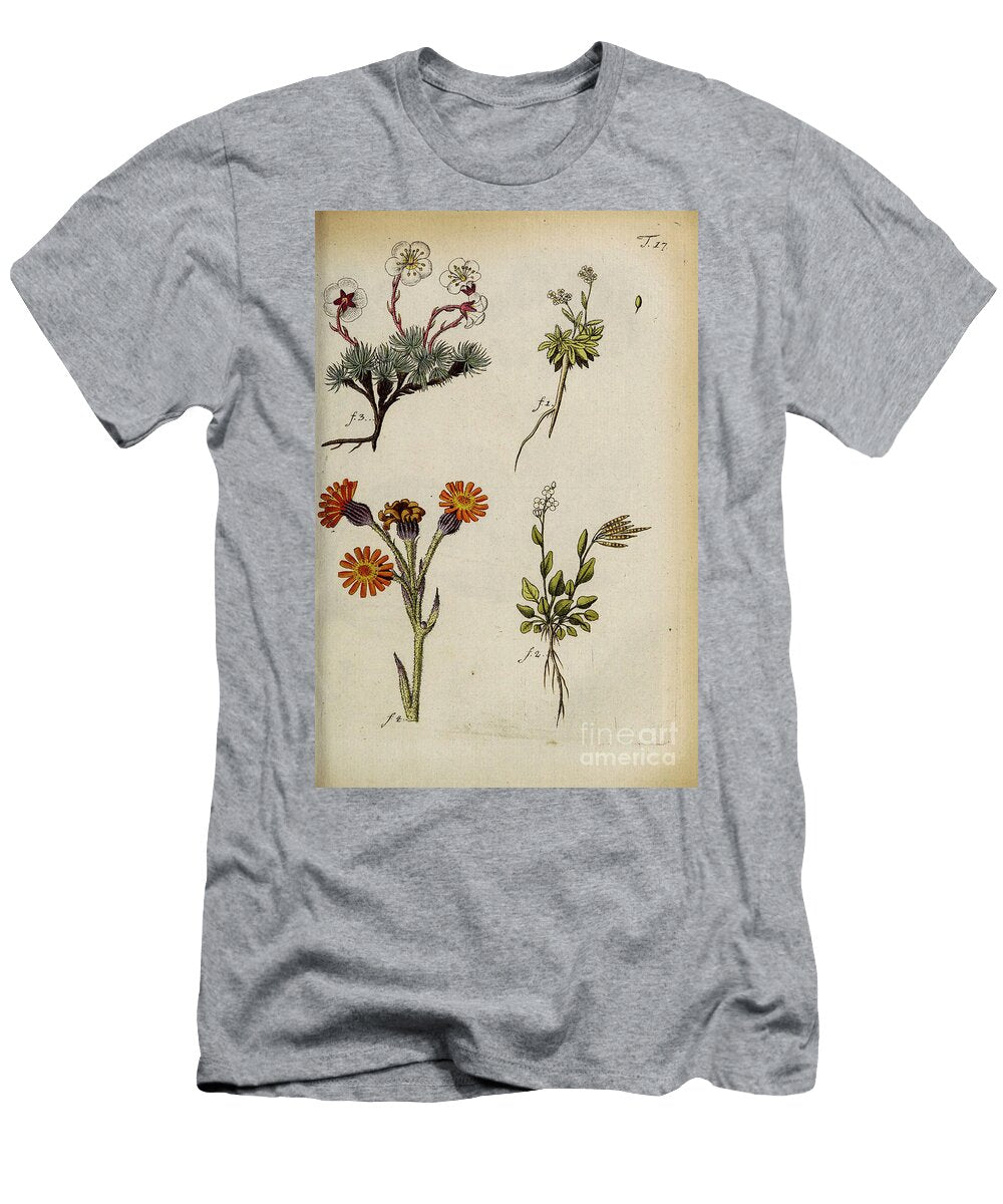 Botanical Illustration By Jacquin 1778 N7 Historic Illustrations T-Shirt