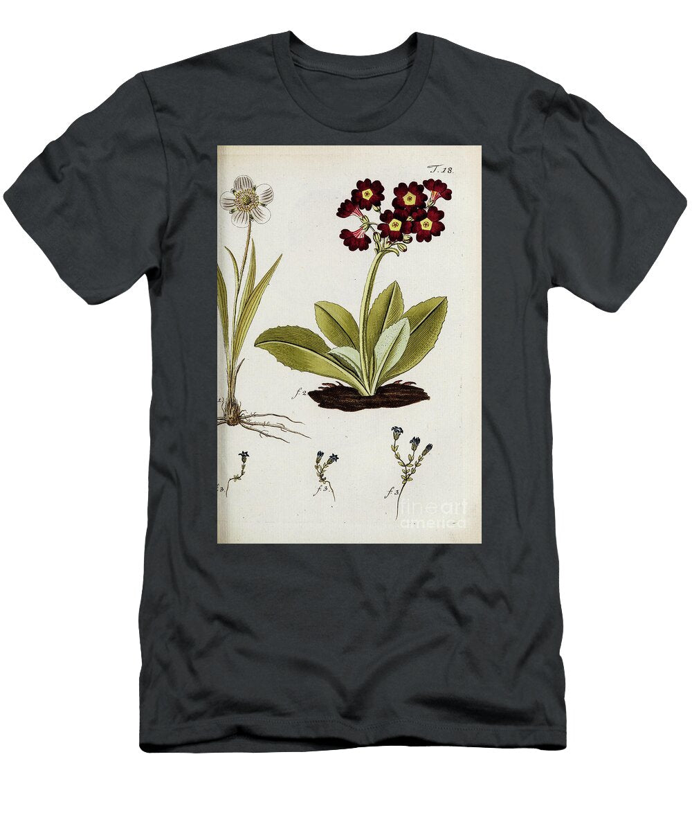 Botanical Illustration By Jacquin 1778 N8 Historic Illustrations T-Shirt