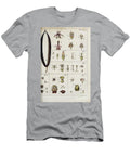 Botanical Illustration By Jacquin 1778 O1 Historic Illustrations T-Shirt