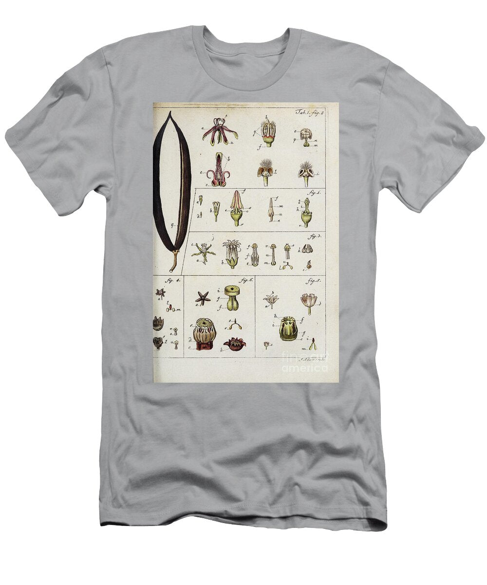 Botanical Illustration By Jacquin 1778 O1 Historic Illustrations T-Shirt