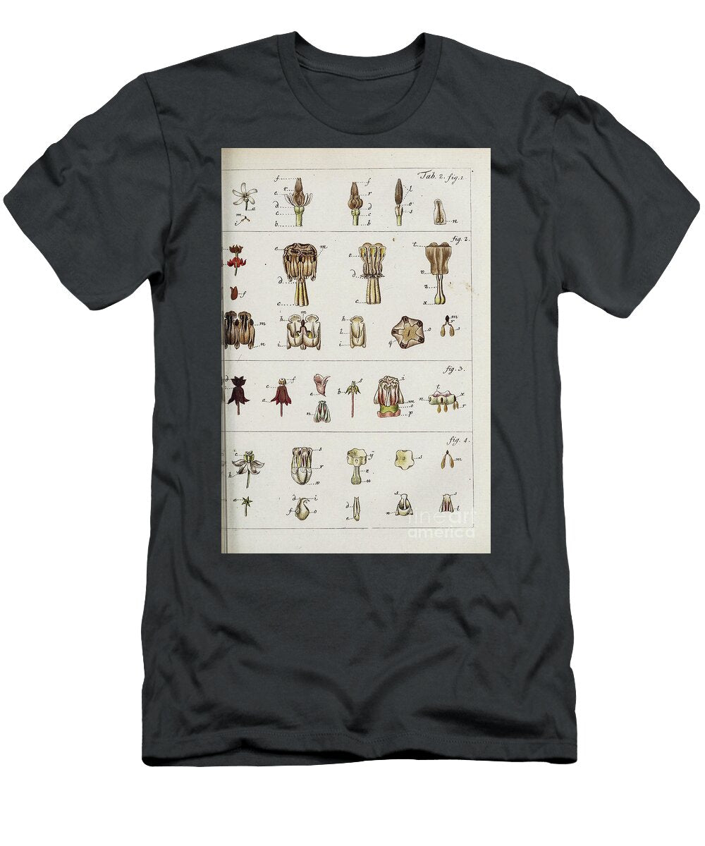 Botanical Illustration By Jacquin 1778 O2 Historic Illustrations T-Shirt