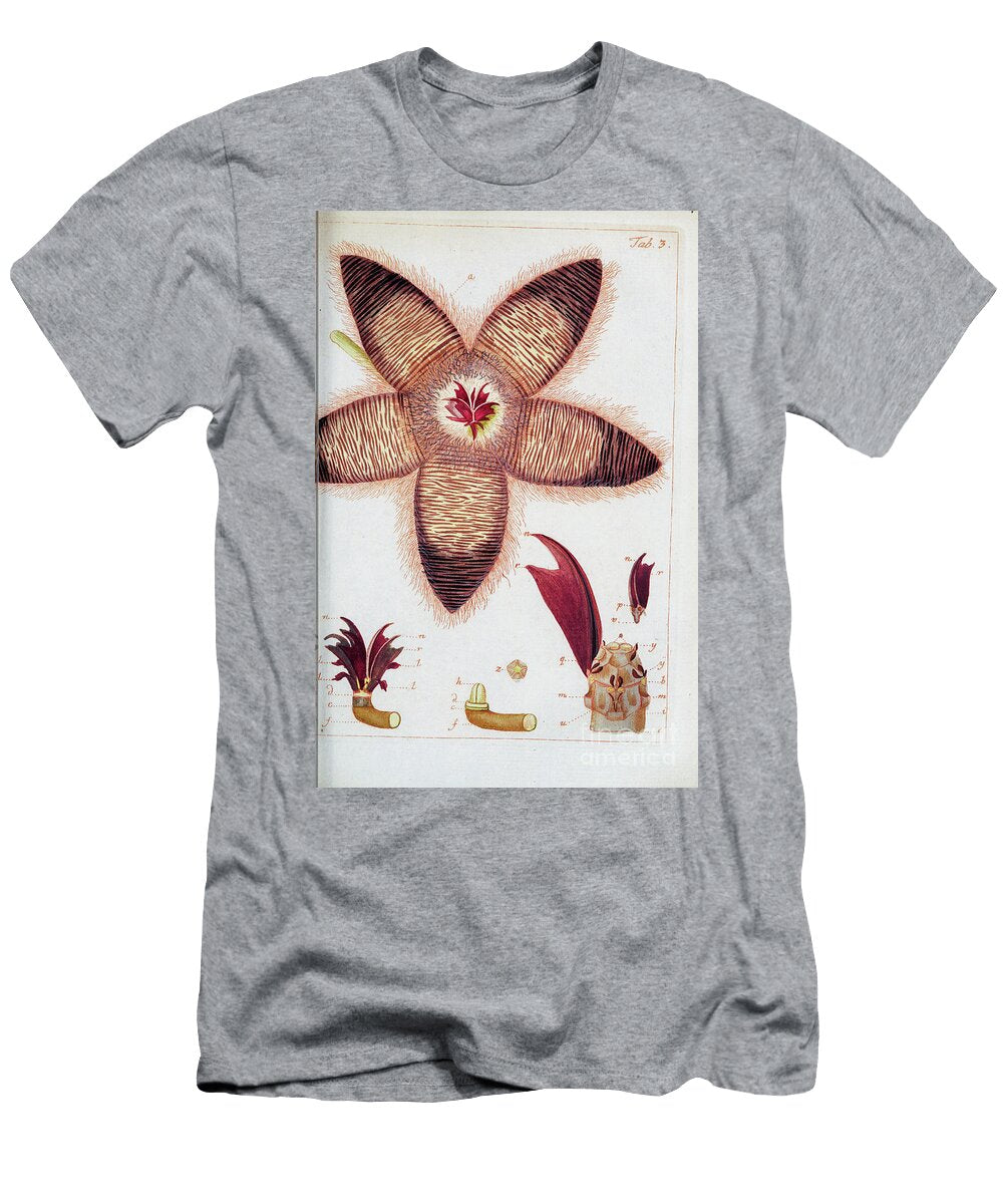 Botanical Illustration By Jacquin 1778 O3 Historic Illustrations T-Shirt