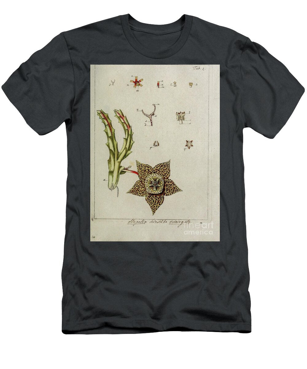 Botanical Illustration By Jacquin 1778 O4 Historic Illustrations T-Shirt