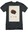 Botanical Illustration By Jacquin 1778 O6 Historic Illustrations T-Shirt