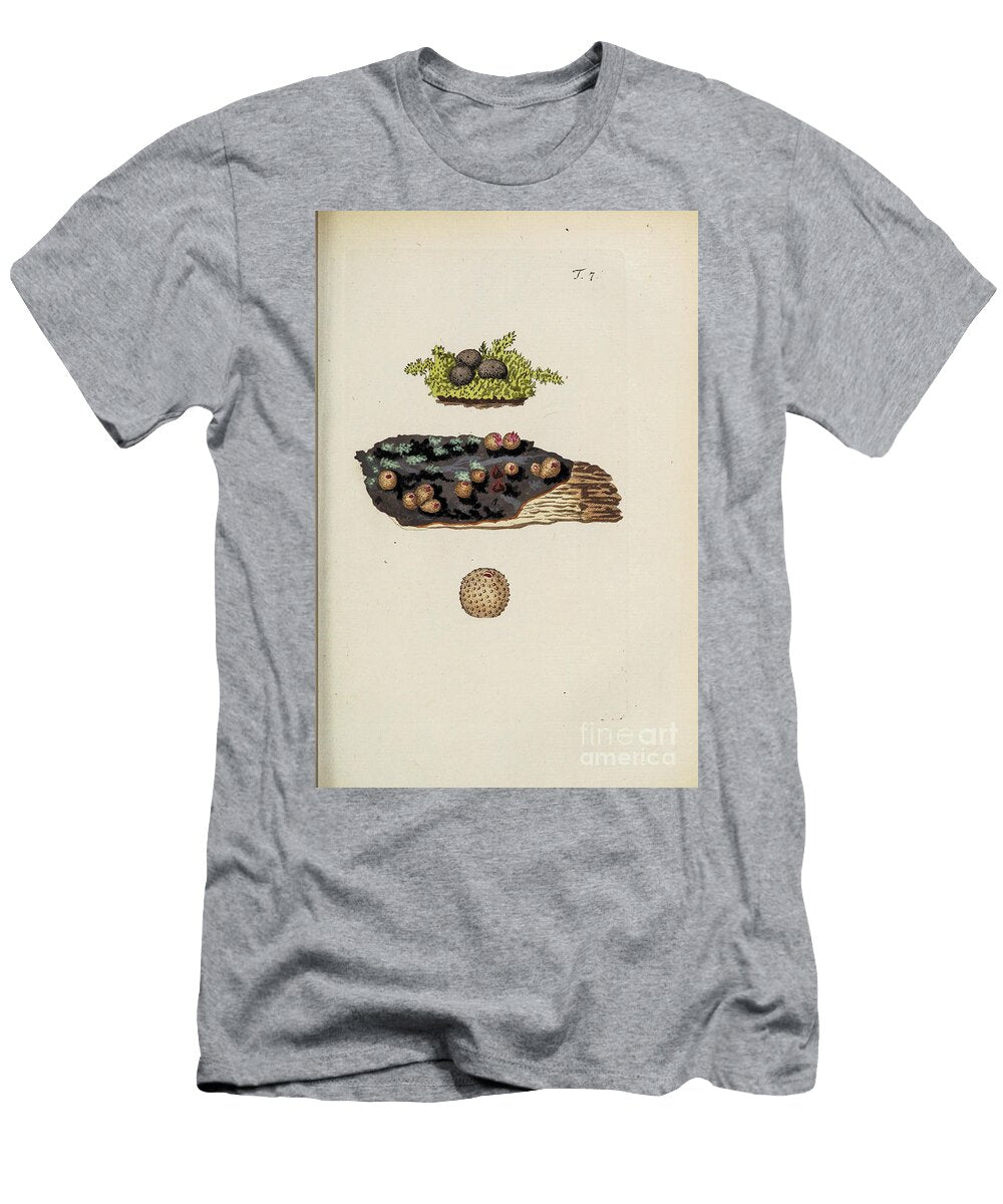 Botanical Illustration By Jacquin 1778 O7 Historic Illustrations T-Shirt