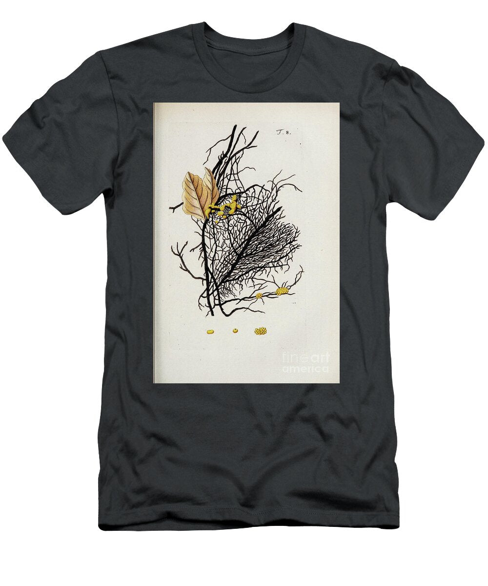 Botanical Illustration By Jacquin 1778 O8 Historic Illustrations T-Shirt
