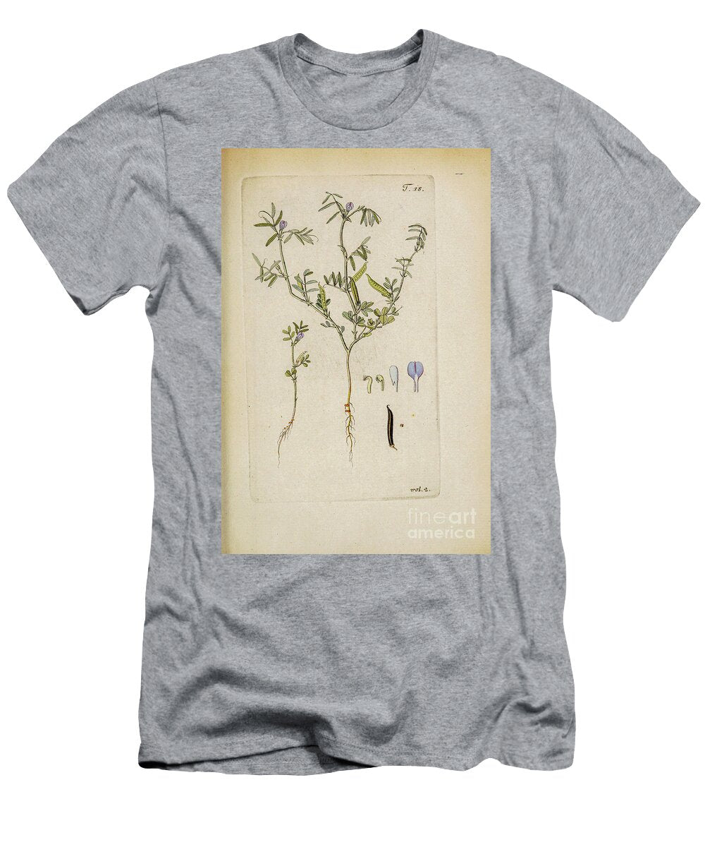Botanical Illustration By Jacquin 1781 M1 Historic Illustrations T-Shirt