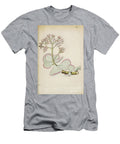 Botanical Illustration By Jacquin 1781 M2 H T-Shirt