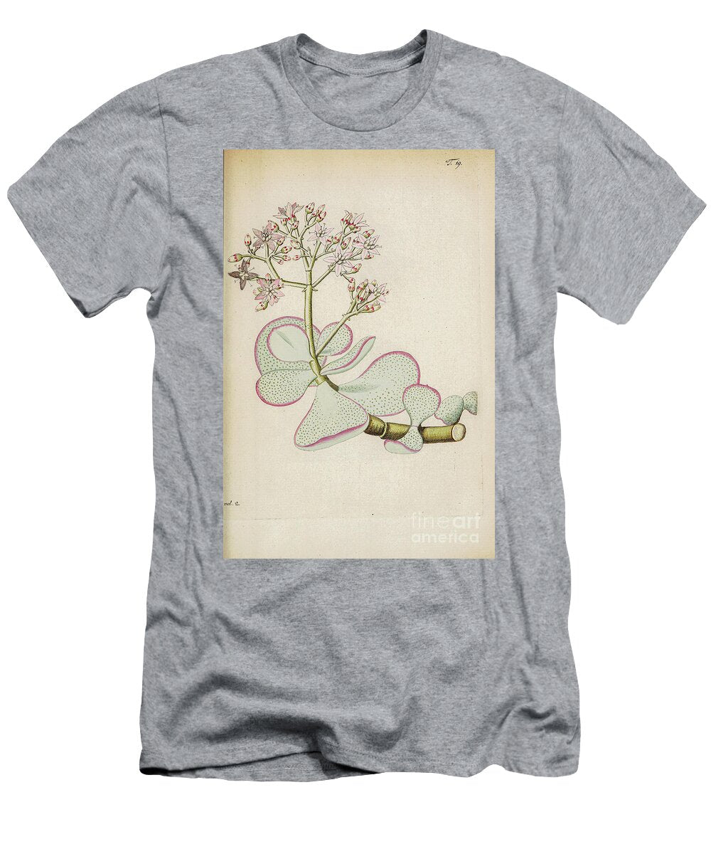 Botanical Illustration By Jacquin 1781 M2 H T-Shirt