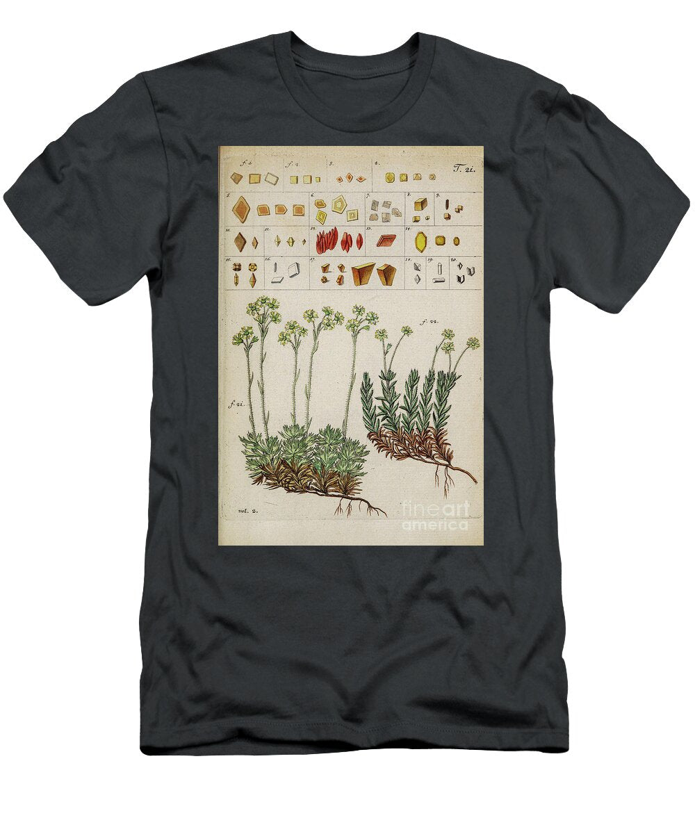 Botanical Illustration By Jacquin 1781 M4 Historic Illustrations T-Shirt