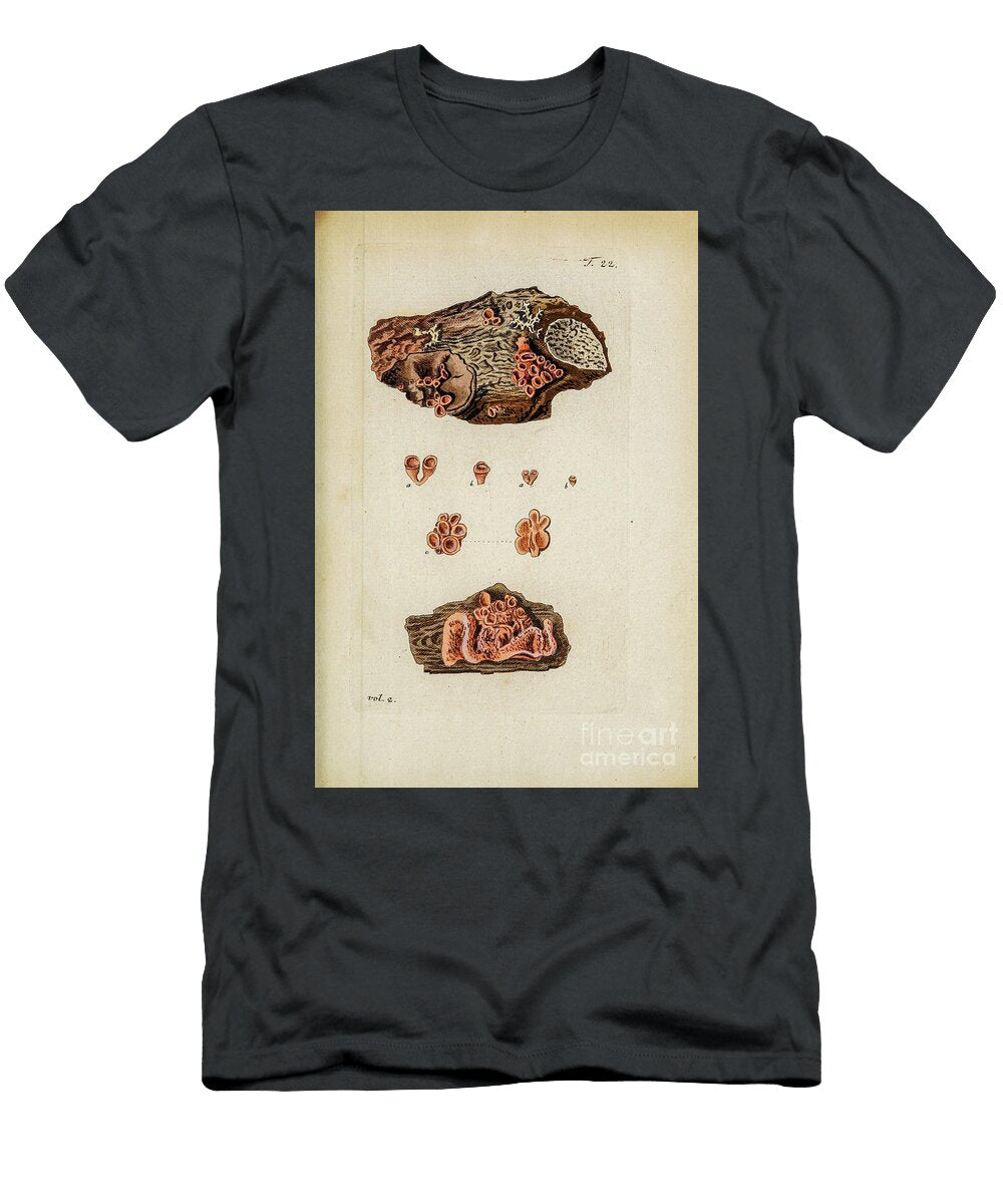 Botanical Illustration By Jacquin 1781 M5 Historic Illustrations T-Shirt