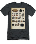 Botanical Illustration By Jacquin 1781 N1 Historic Illustrations T-Shirt