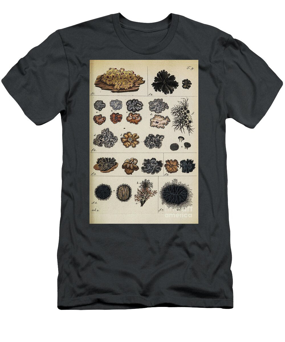Botanical Illustration By Jacquin 1781 N1 Historic Illustrations T-Shirt