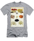 Botanical Illustration By Jacquin 1781 N2 Historic Illustrations T-Shirt