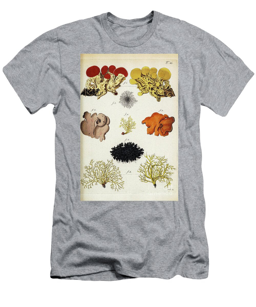 Botanical Illustration By Jacquin 1781 N2 Historic Illustrations T-Shirt