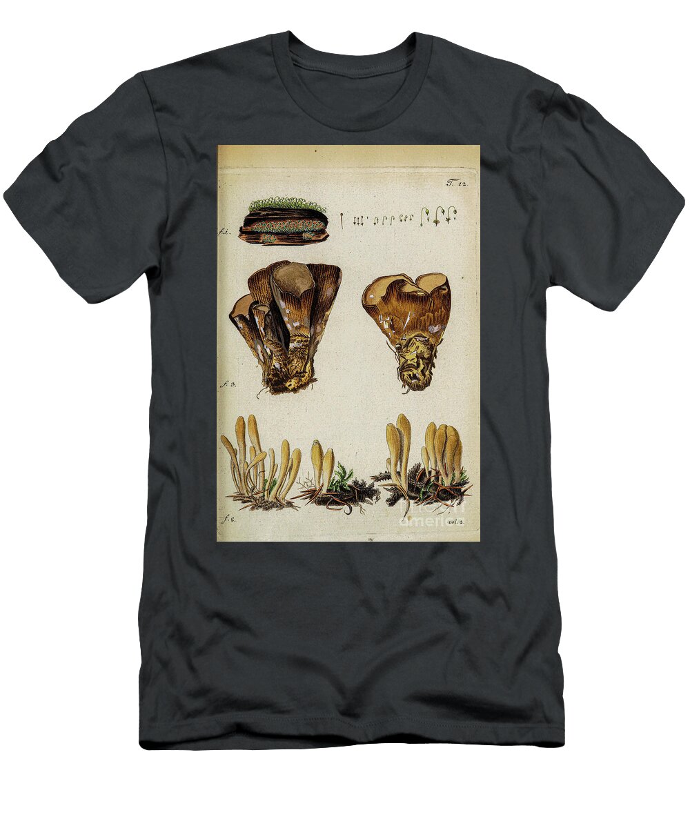 Botanical Illustration By Jacquin 1781 N4 Historic Illustrations T-Shirt