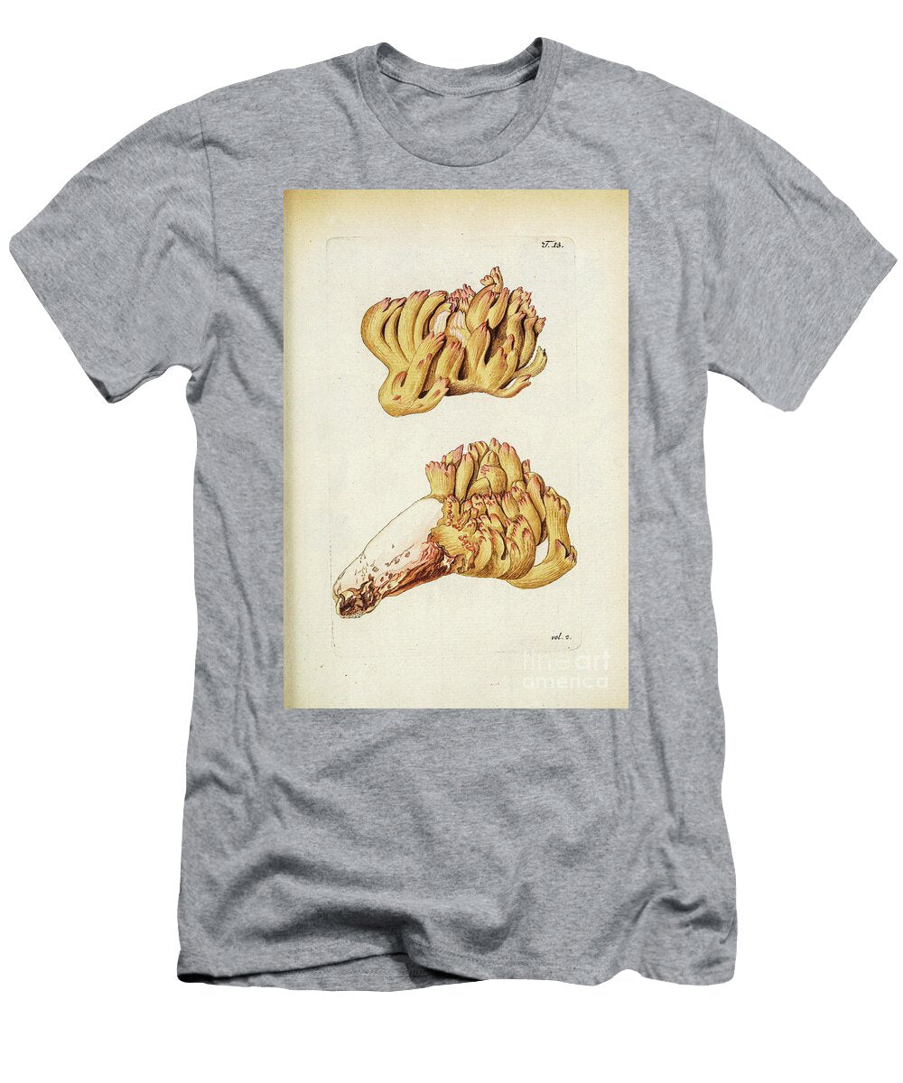 Botanical Illustration By Jacquin 1781 N5 Historic Illustrations T-Shirt