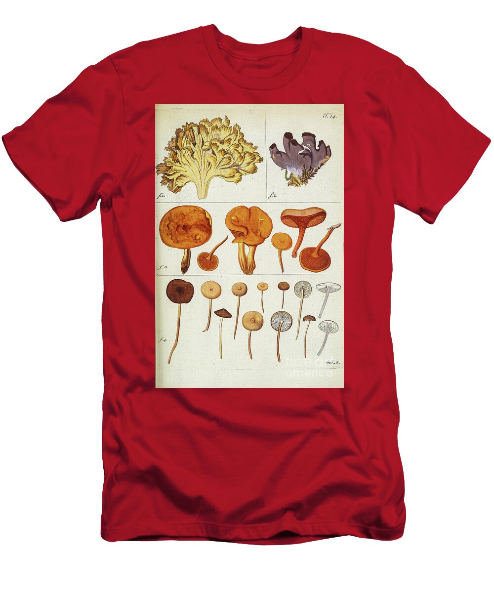 Botanical Illustration By Jacquin 1781 N6 Historic Illustrations T-Shirt