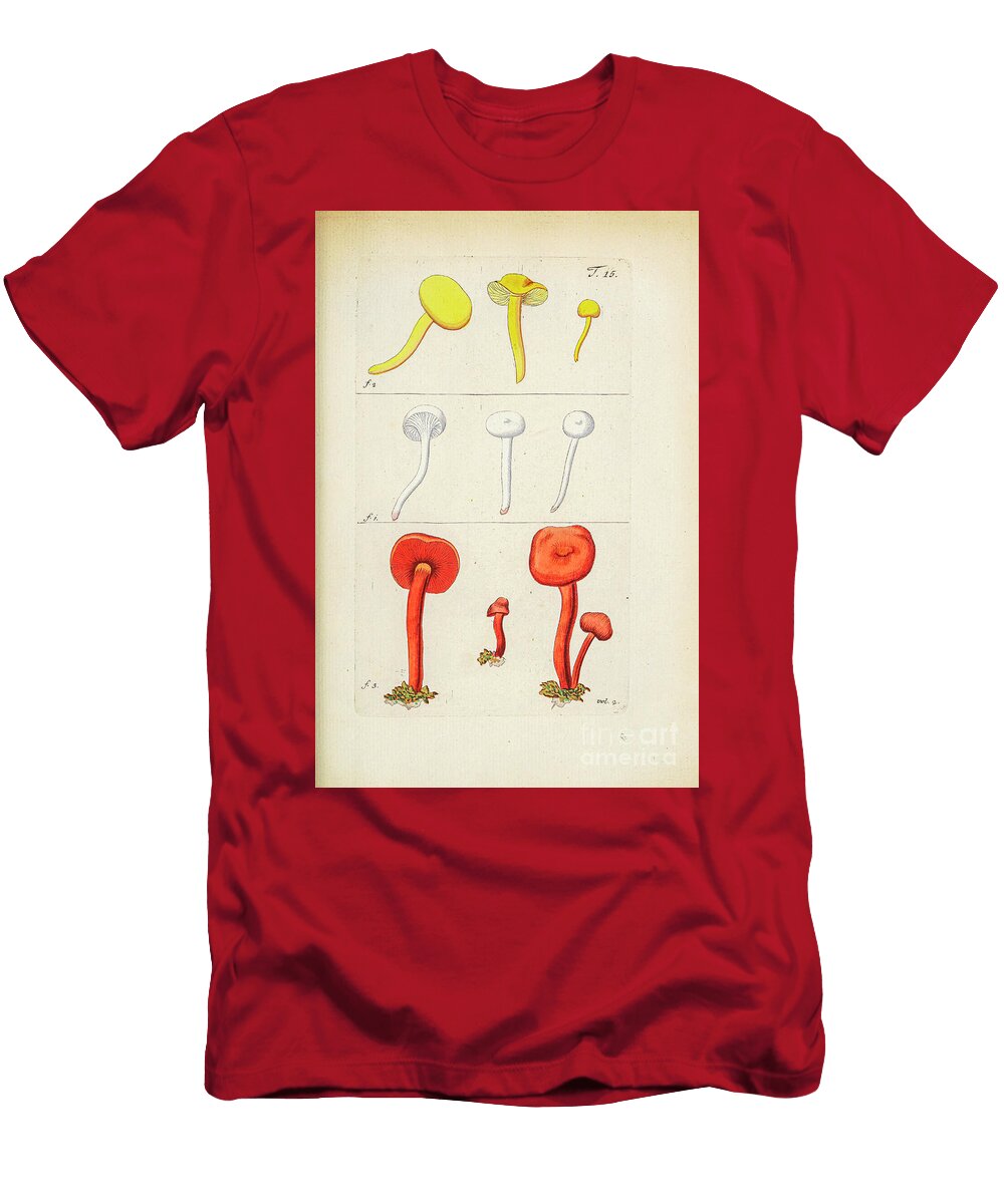 Botanical Illustration By Jacquin 1781 N7 Historic Illustrations T-Shirt