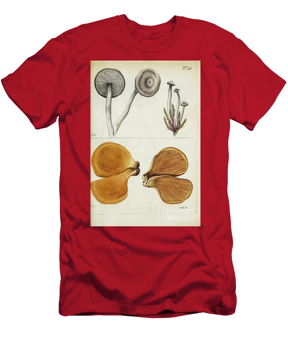 Botanical Illustration By Jacquin 1781 N8 Historic Illustrations T-Shirt