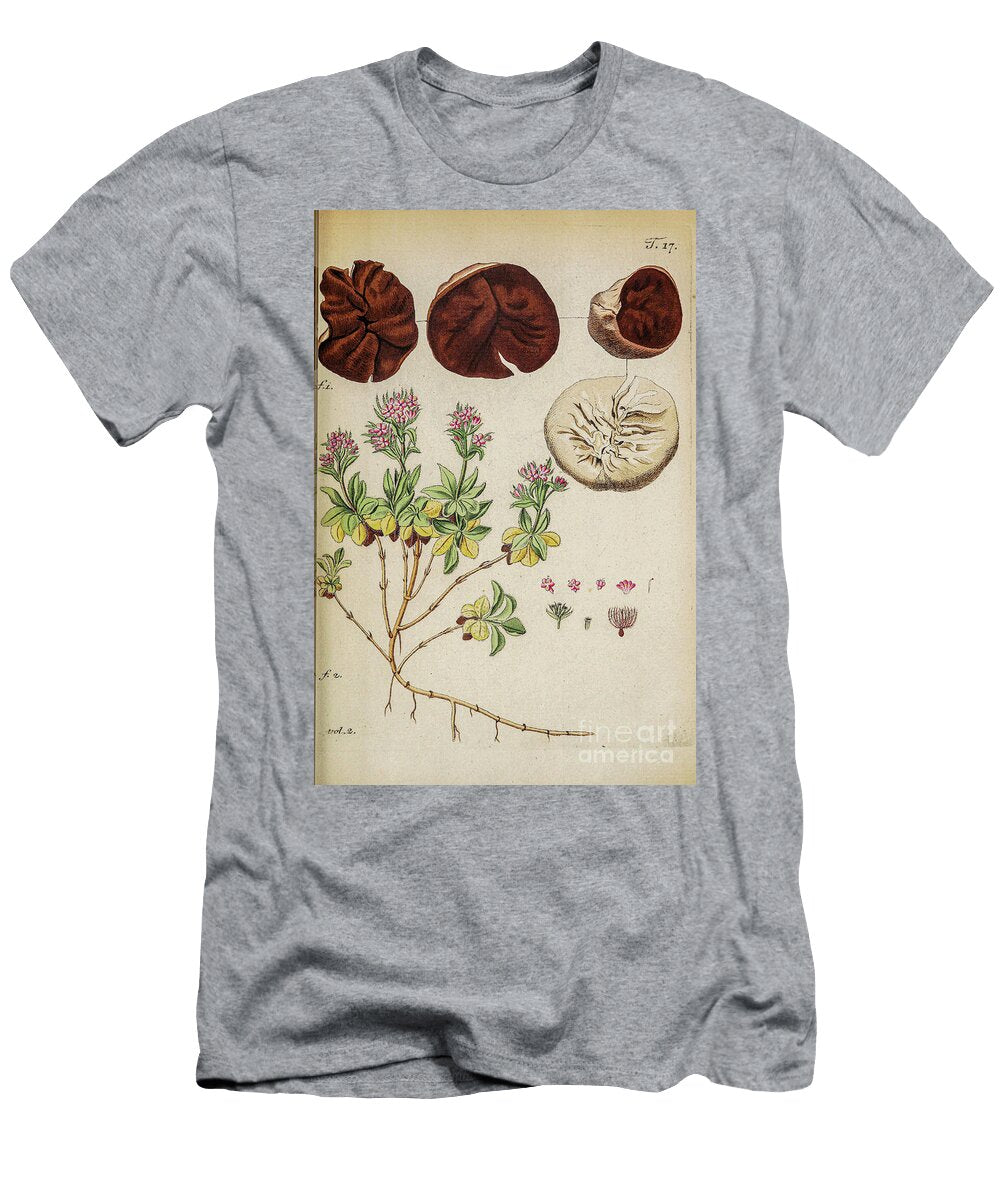 Botanical Illustration By Jacquin 1781 N9 Historic Illustrations T-Shirt