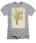 Botanical Illustration By Jacquin 1781 O1 Historic Illustrations T-Shirt