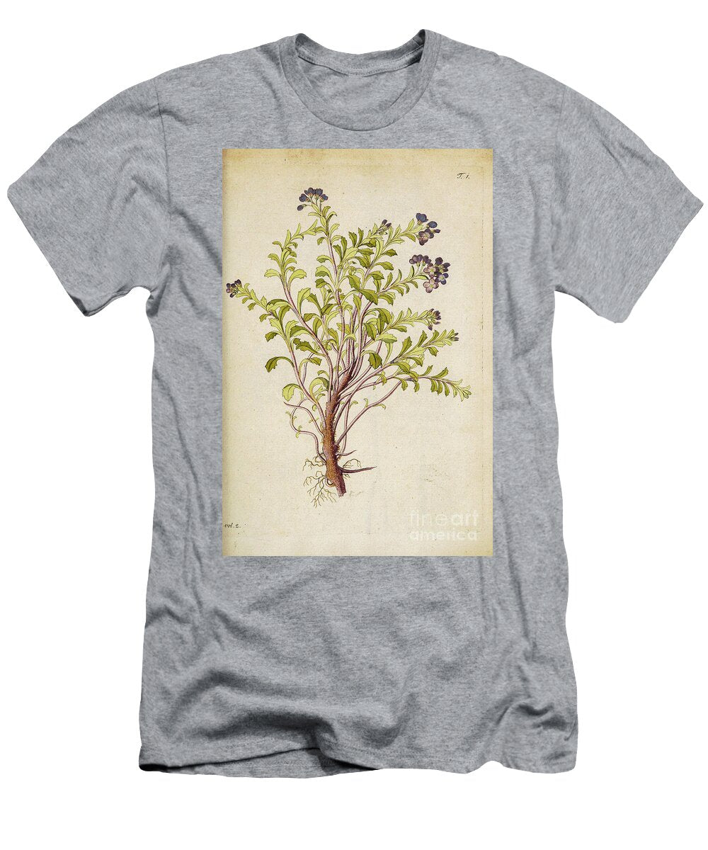 Botanical Illustration By Jacquin 1781 O1 Historic Illustrations T-Shirt