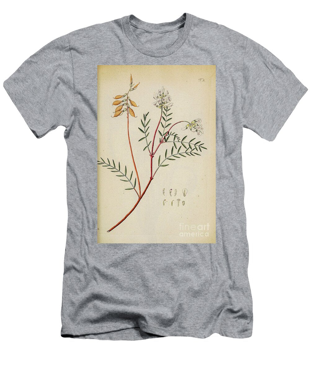 Botanical Illustration By Jacquin 1781 O3 Historic Illustrations T-Shirt