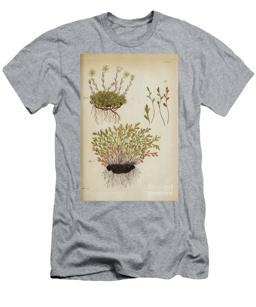 Botanical Illustration By Jacquin 1781 O5 Historic Illustrations T-Shirt