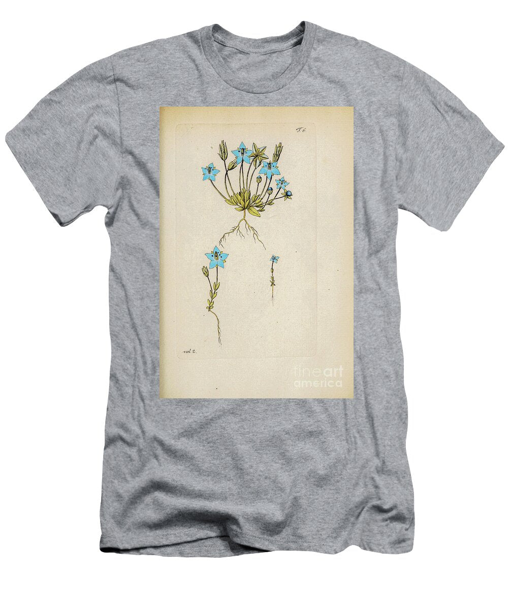 Botanical Illustration By Jacquin 1781 O6 Historic Illustrations T-Shirt