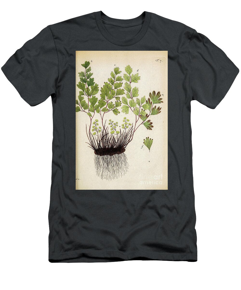 Botanical Illustration By Jacquin 1781 O7 Historic Illustrations T-Shirt