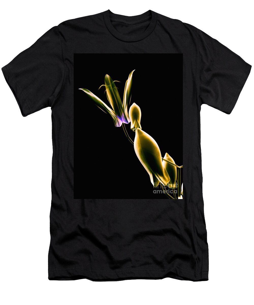 Botanical Study 1 Brian Drake T-Shirt