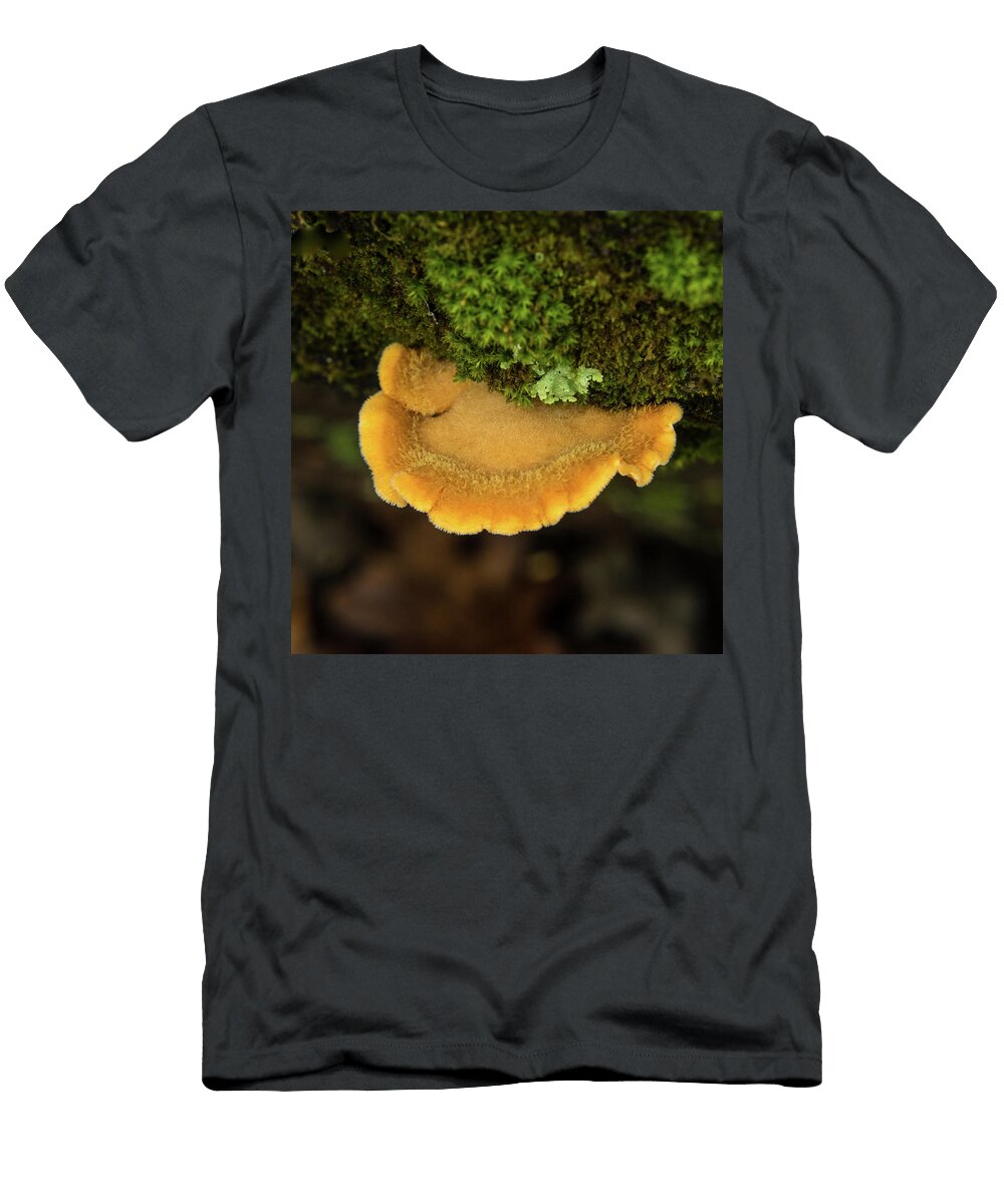 Bracket Fungi Growing From Mound of Moss Douglas Barnett T-Shirt